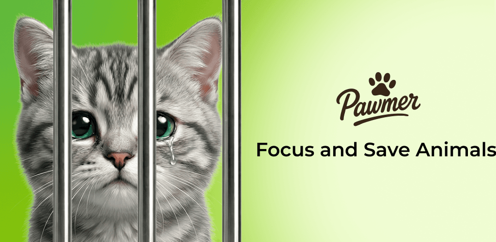 Pawmer portfolio image